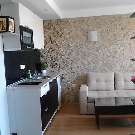 Harmony Palace Apartcomplex شقة فندقية ساني بيتش